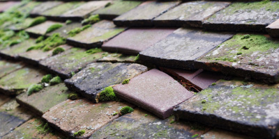 Great Gransden roof repair costs